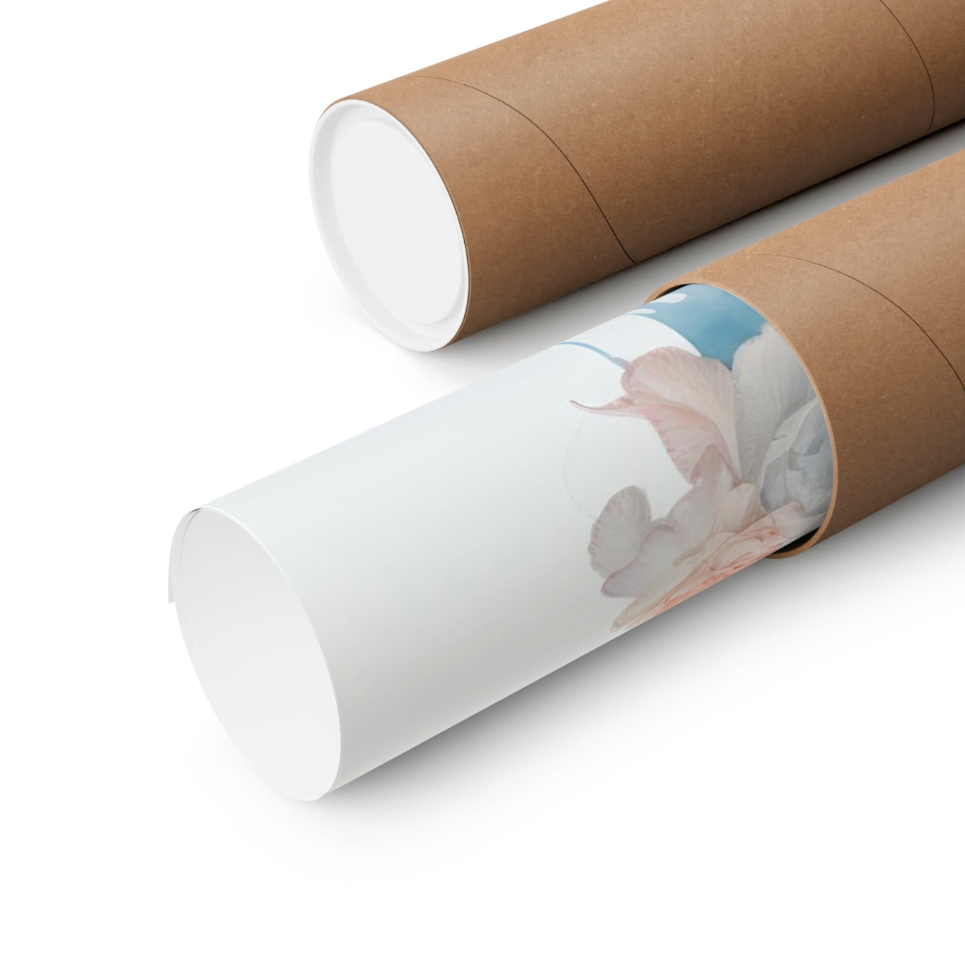 Two rolls of brown paper with a white background