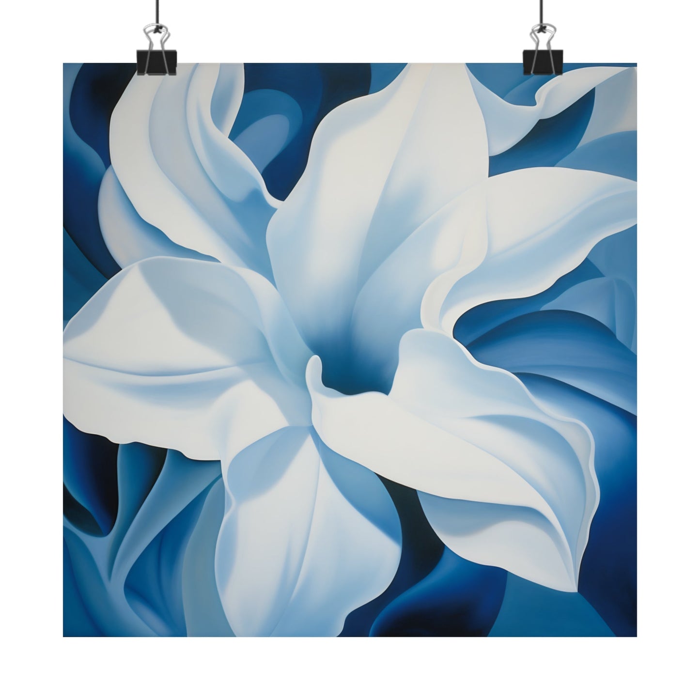 A blue and white flower on a white background