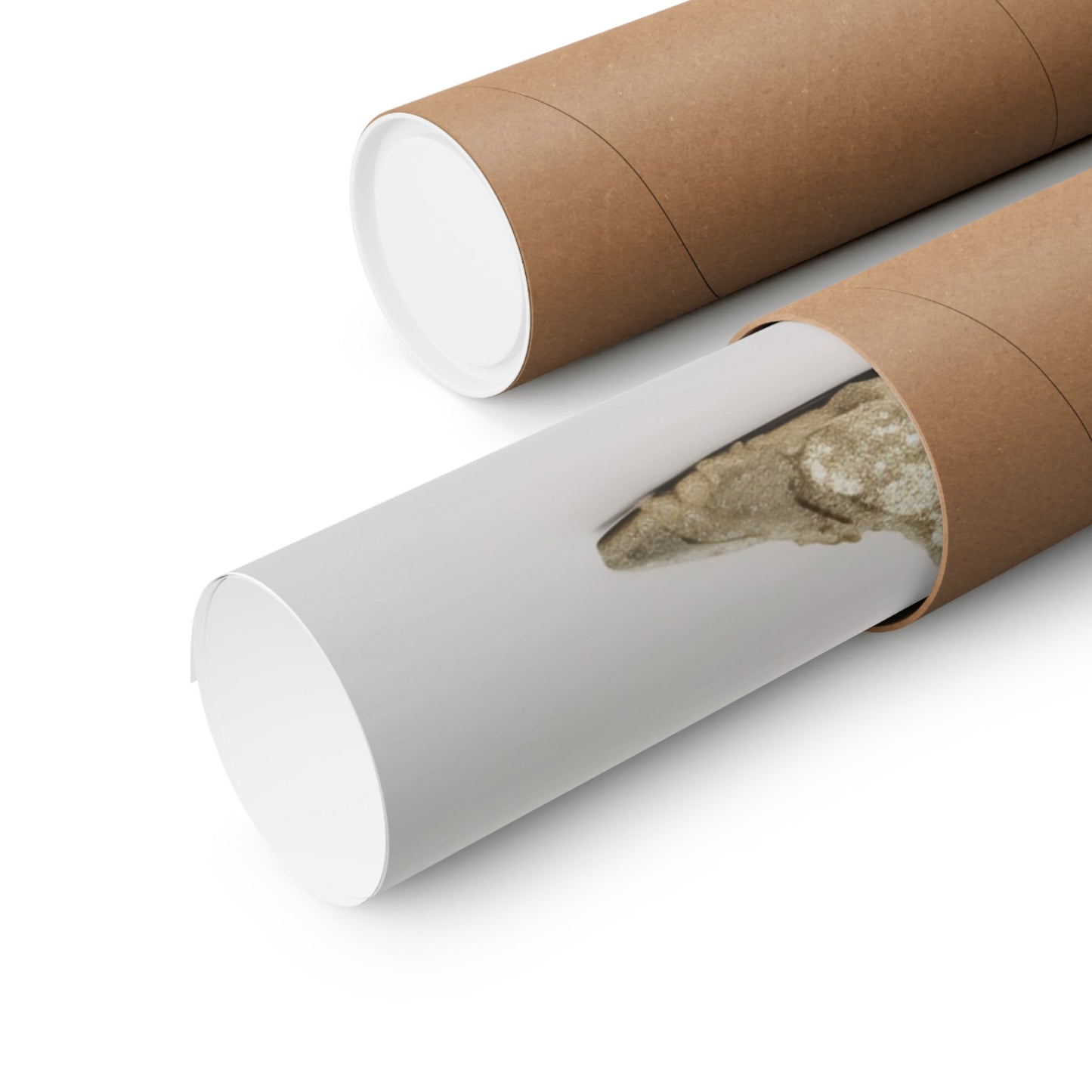 Two rolls of brown paper with a brown paper tube