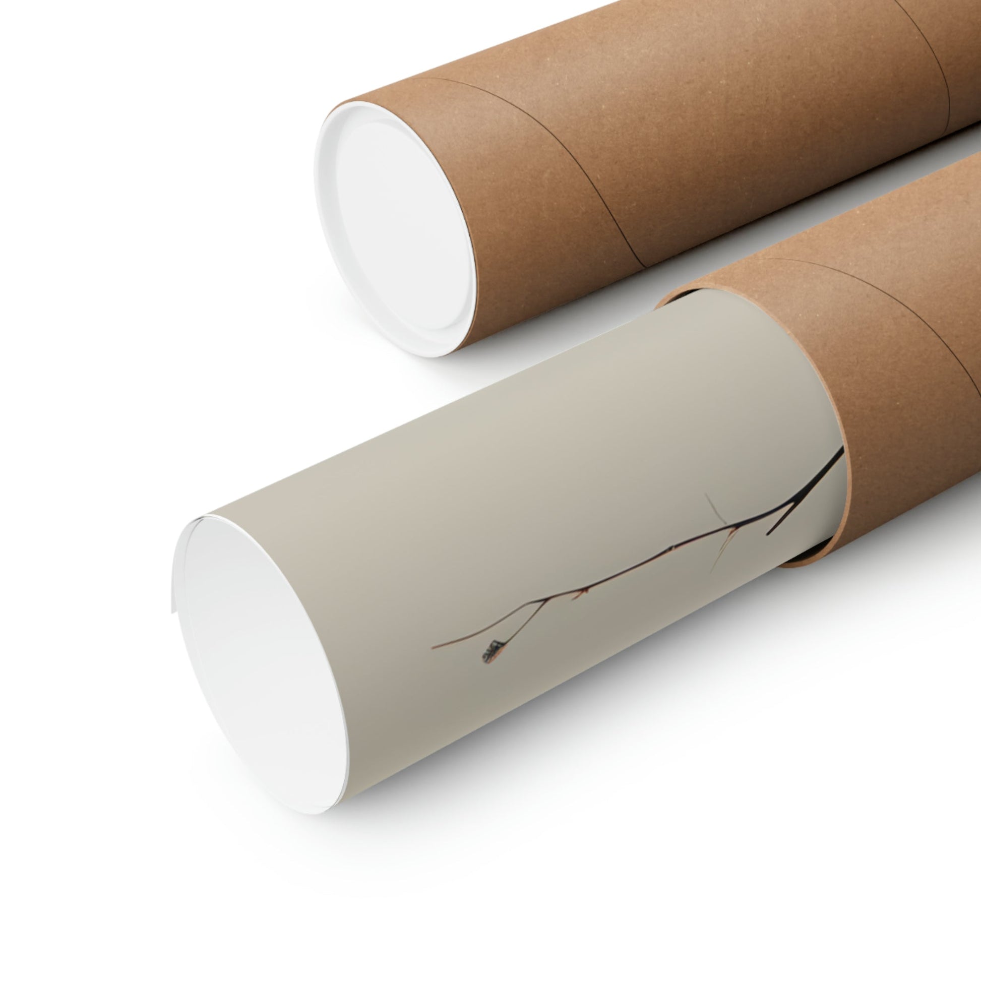 Two rolls of brown paper with a white background