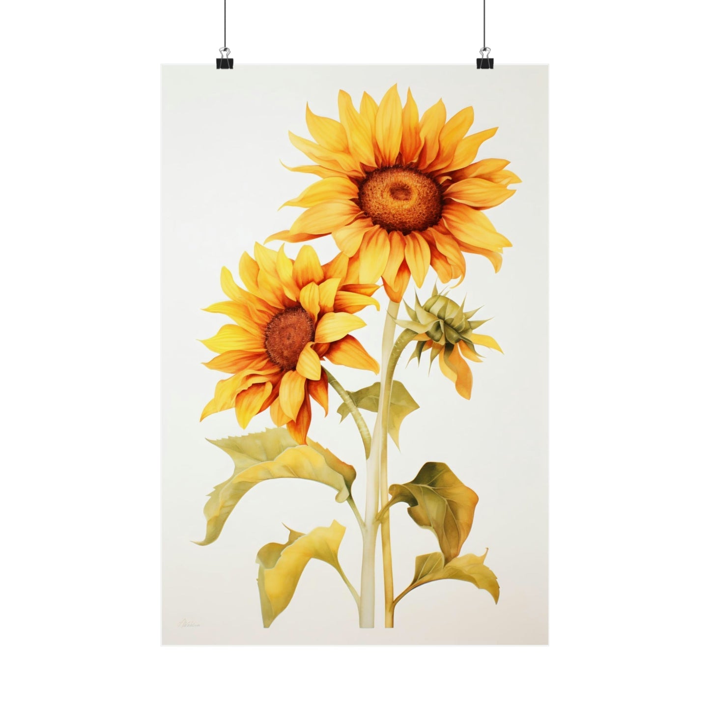 A yellow sunflower with green leaves on a white background