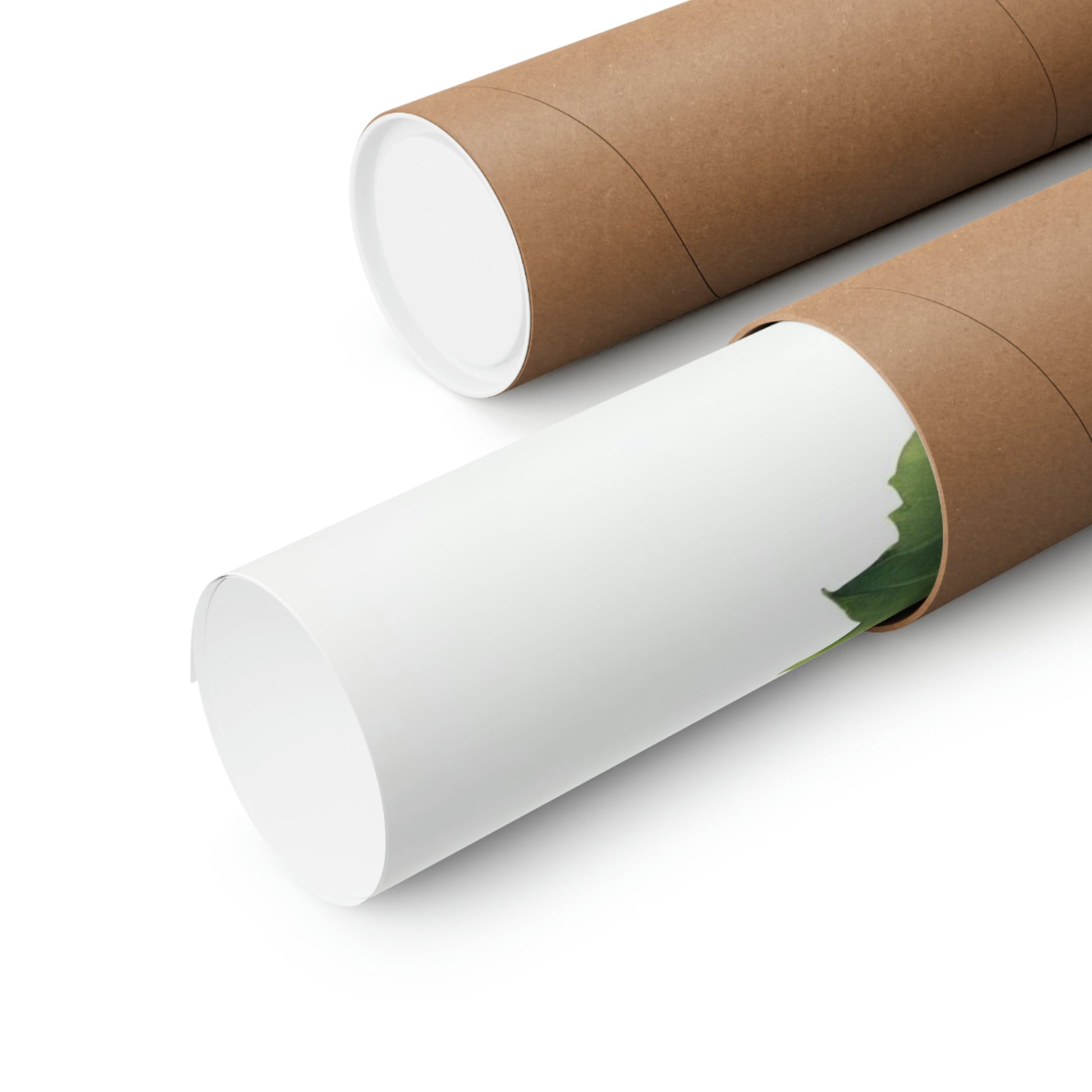 Two rolls of brown paper with green leaves on them