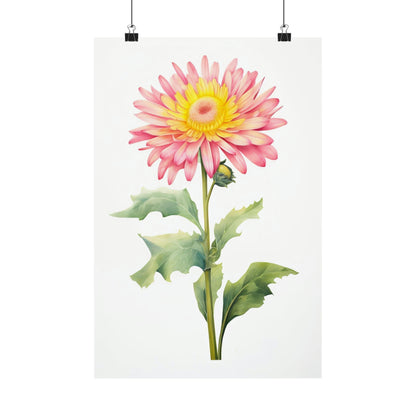 Pink and yellow gerbera daisy with green leaves and stem.