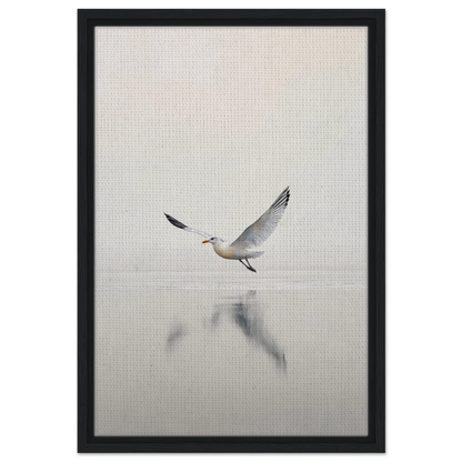 Seagull with outstretched wings reflecting in water for Seagull Mist Serenade room decor