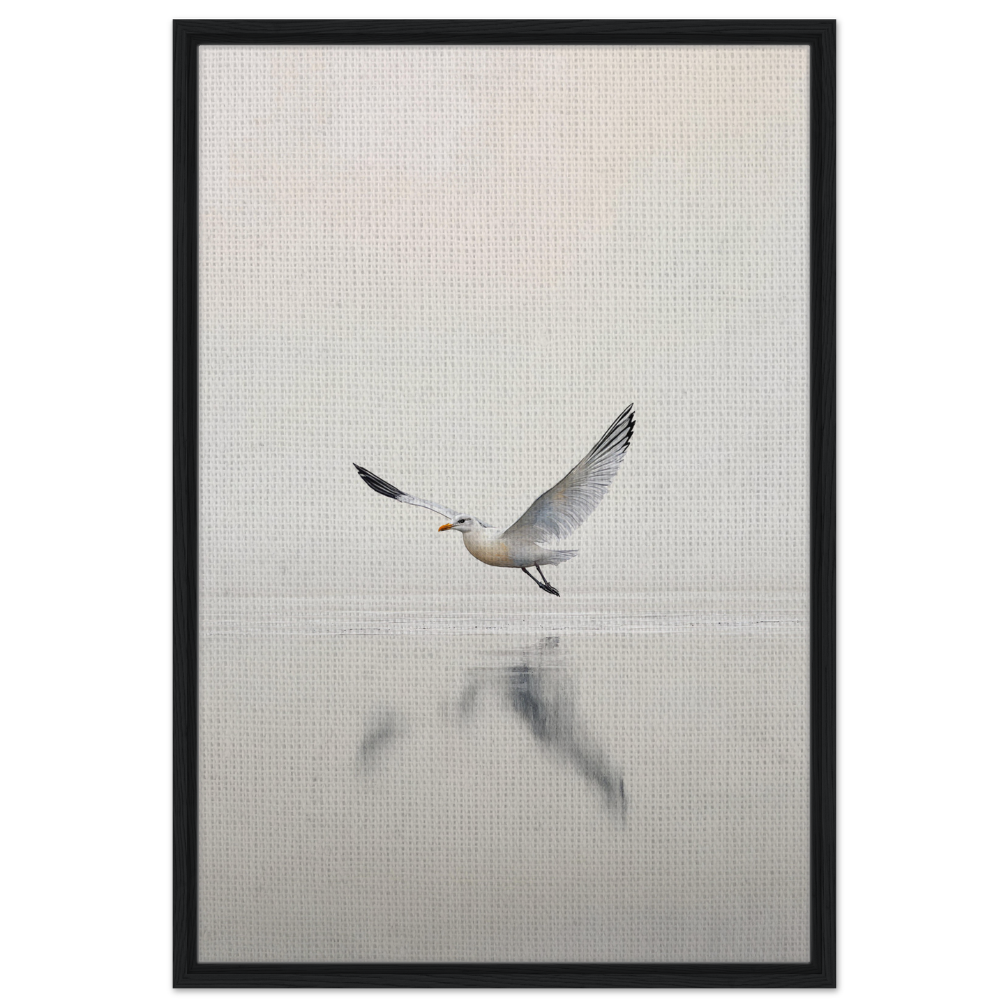 Seagull with outstretched wings flying over a reflective surface in Seagull Mist Serenade