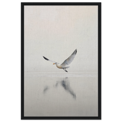 Seagull with outstretched wings flying over a reflective surface in Seagull Mist Serenade