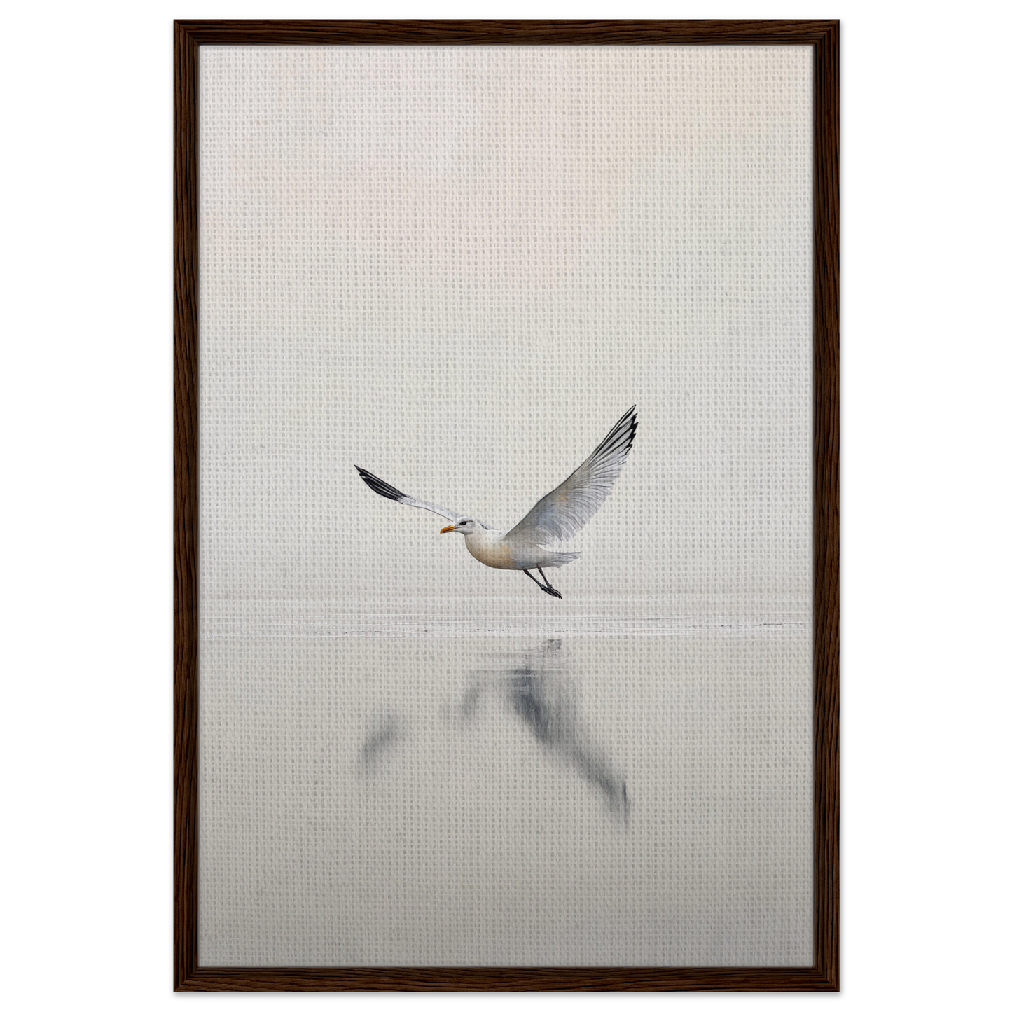 Seagull in flight, wings spread, reflecting in water below for Seagull Mist Serenade