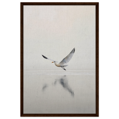 Seagull in flight, wings spread, reflecting in water below for Seagull Mist Serenade