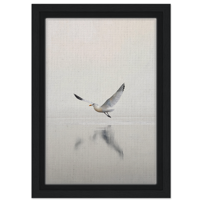 Seagull with outstretched wings above water in Seagull Mist Serenade framed canvas print