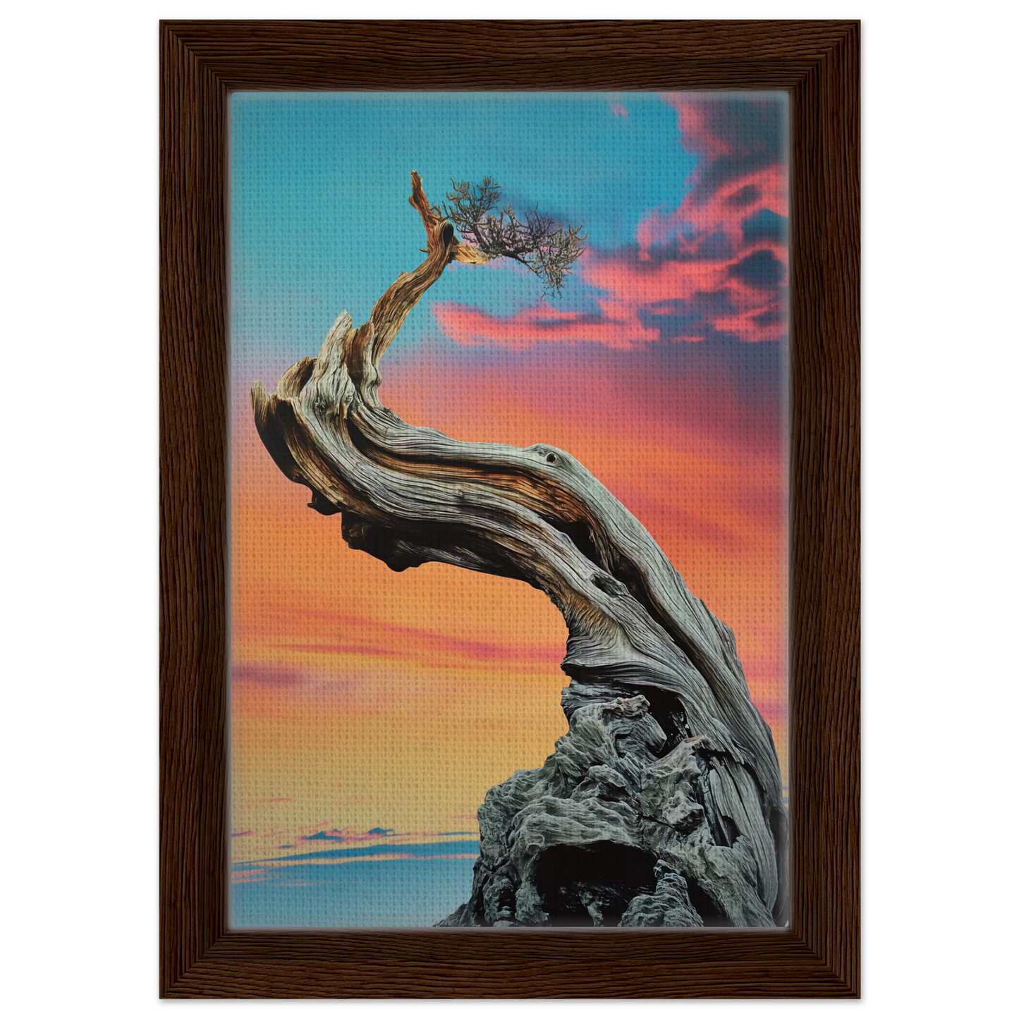 Twisted gnarled tree on rocky outcrop, ideal for Tangled Celestial Dawn room decor