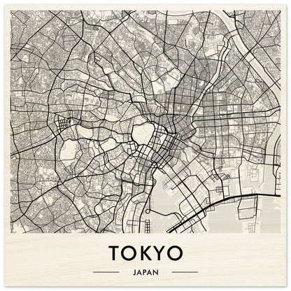 Map of Tokyo, Japan, showing streets and urban layout in a monochromatic style.