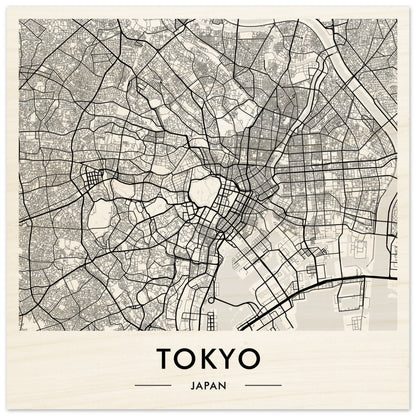 Map of Tokyo, Japan showing the city’s street layout and urban structure.