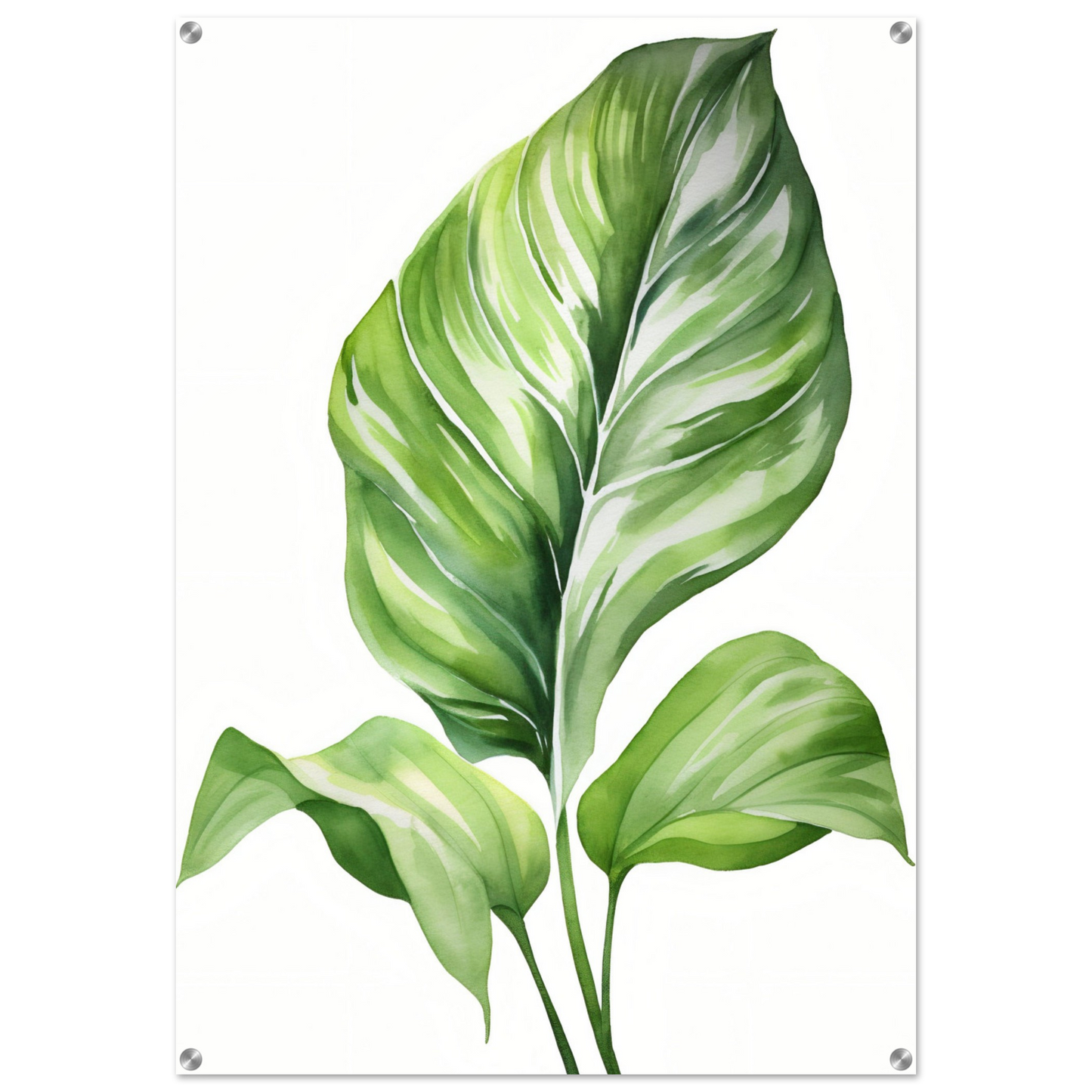 Vibrant green tropical leaf with prominent veins and a graceful curve.