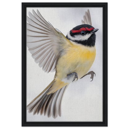 Colorful songbird in mid-flight with red cap, featured in Warbler’s Zenith canvas print