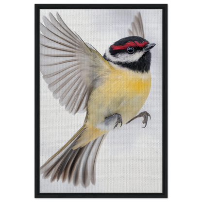 Colorful songbird in mid-flight with red striped head on Warbler’s Zenith canvas print