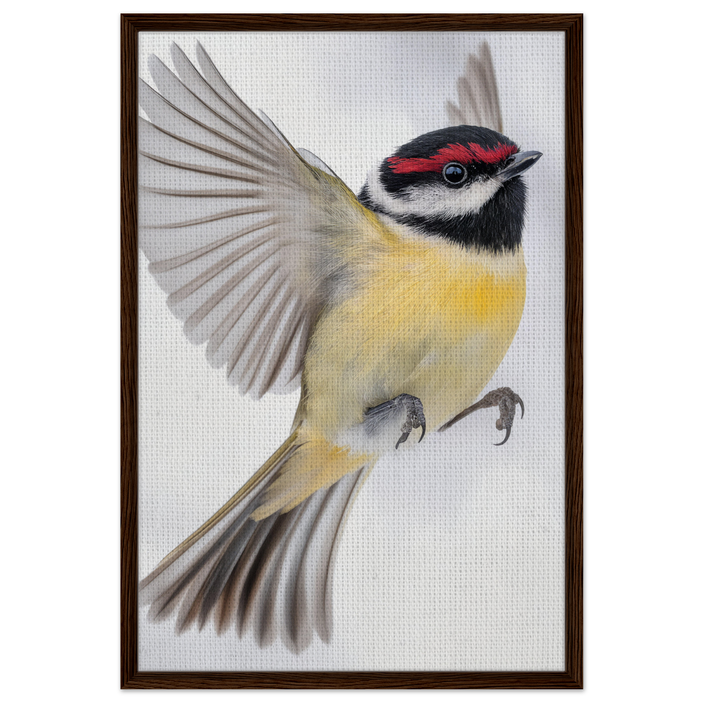 Colorful songbird in flight showcasing black, red, and yellow markings for Warbler’s Zenith decor