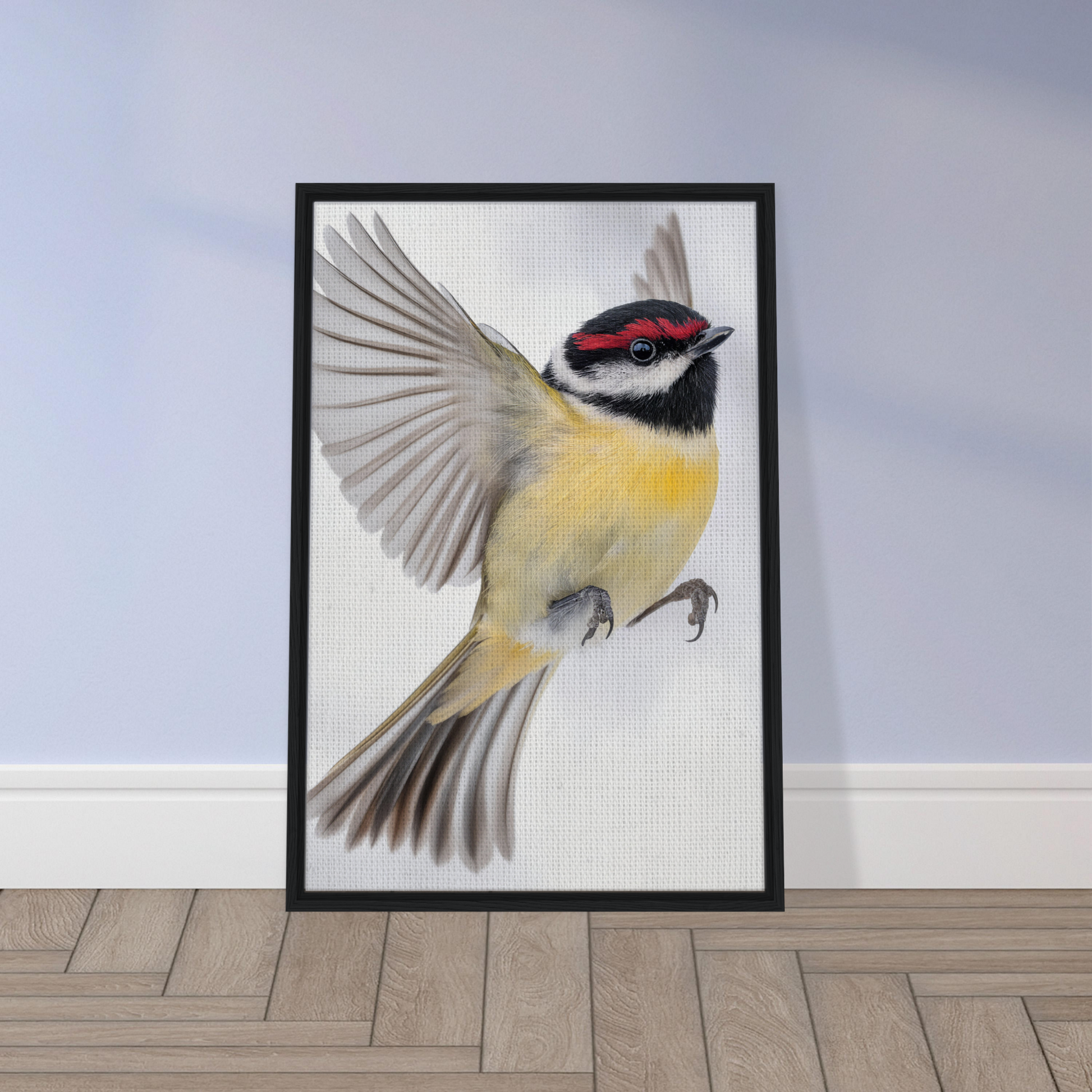 Framed canvas print of a colorful bird in mid-flight titled Warbler’s Zenith