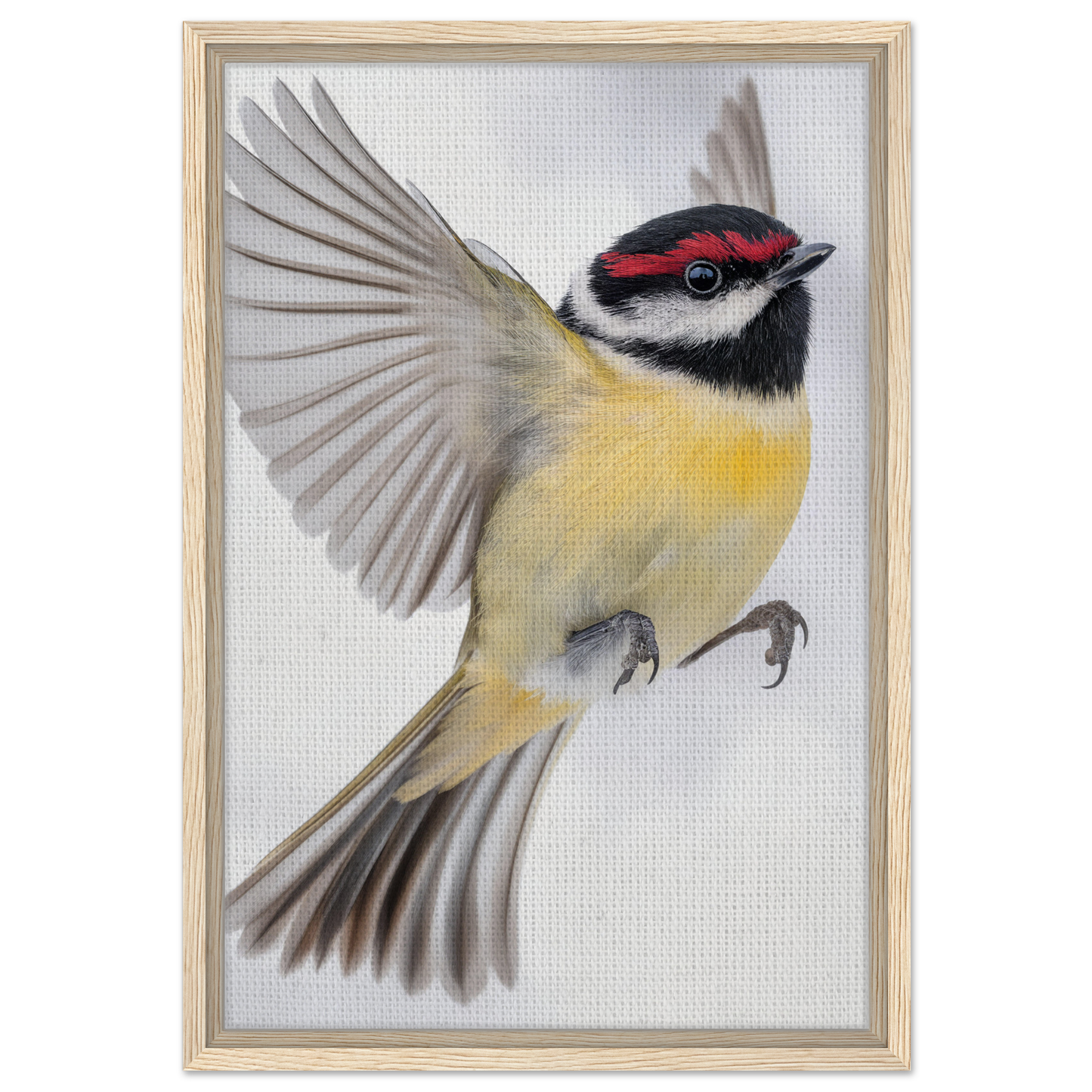 Colorful songbird in mid-flight, ideal for enhancing Warbler’s Zenith room decor