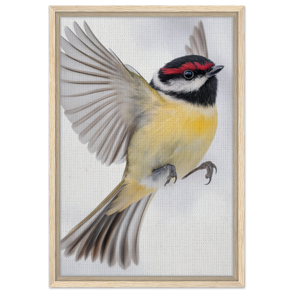 Colorful songbird in mid-flight, ideal for enhancing Warbler’s Zenith room decor