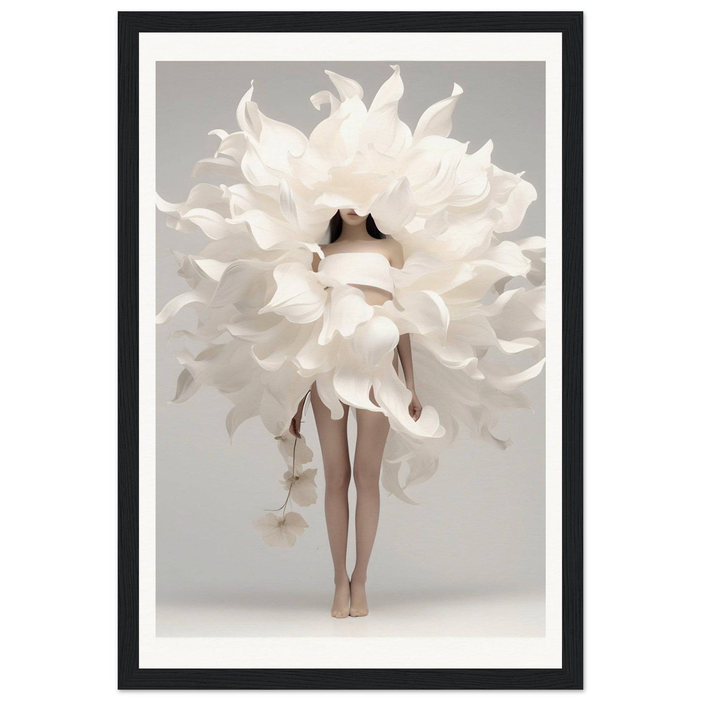 A white flower in a black frame