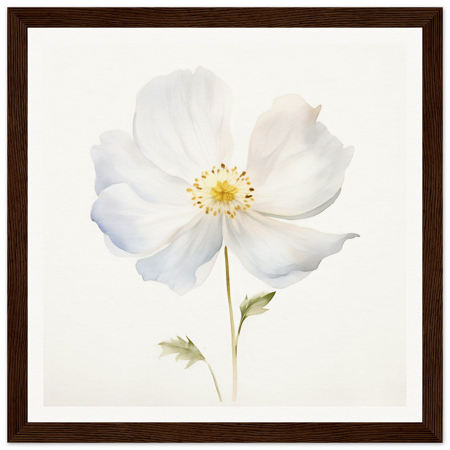 A white flower with a brown frame