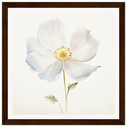 A white flower with a brown frame