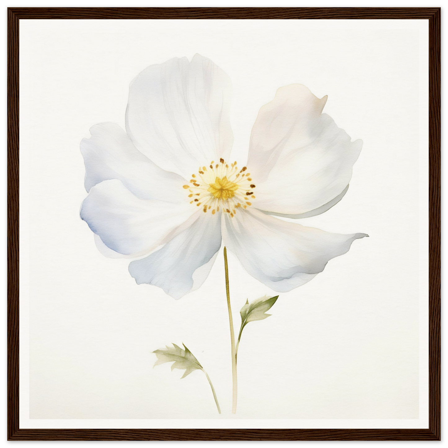 A white flower with a brown frame