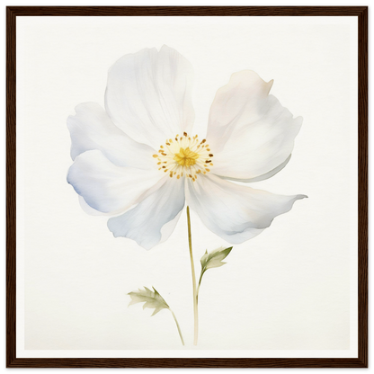 A white flower with a brown frame