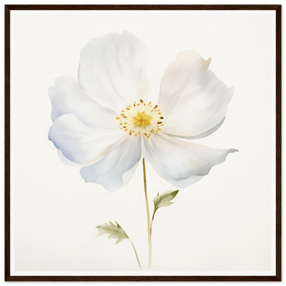 A white flower with a brown frame