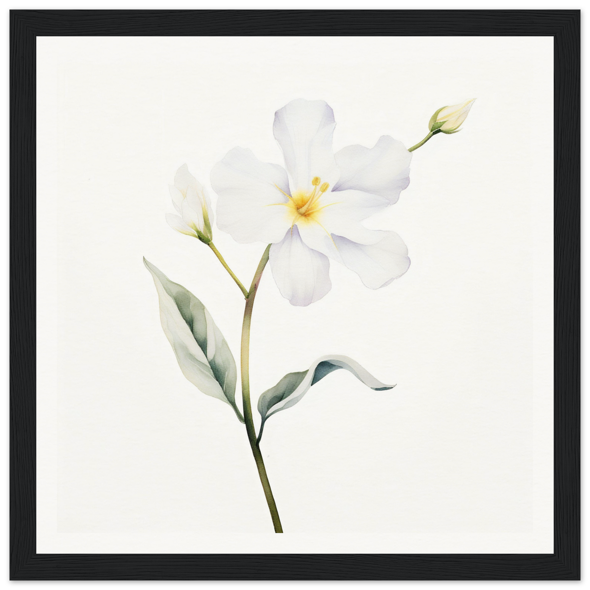 A white flower with green leaves on a white background