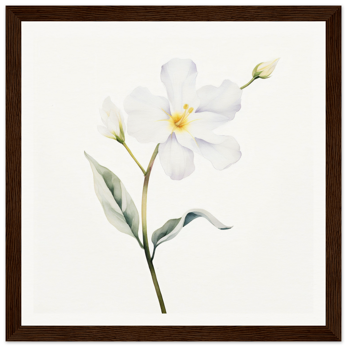 A white flower with green leaves on a white background