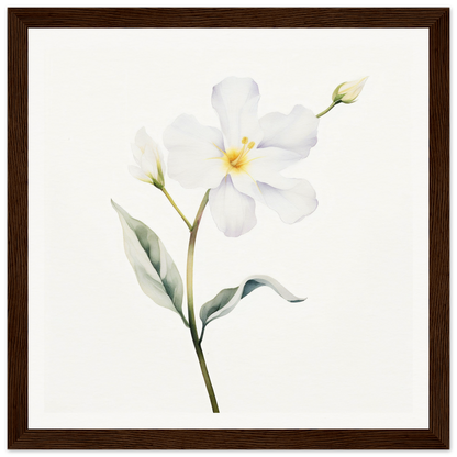 A white flower with green leaves on a white background