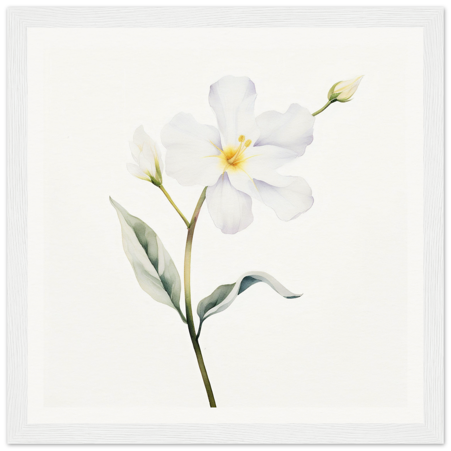 A white flower with green leaves on a white background