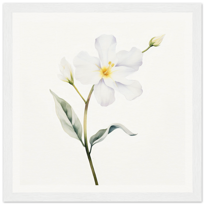 A white flower with green leaves on a white background