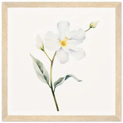 A white flower with green leaves on a white background