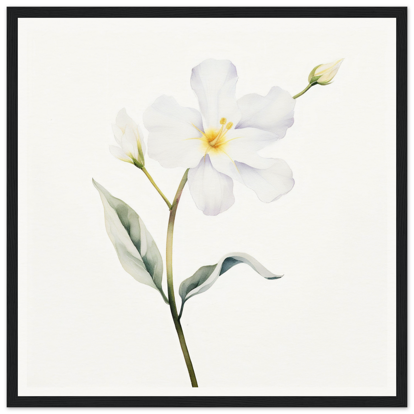 A white flower with green leaves on a white background