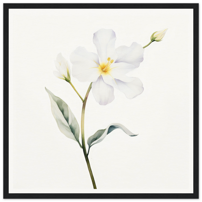 A white flower with green leaves on a white background