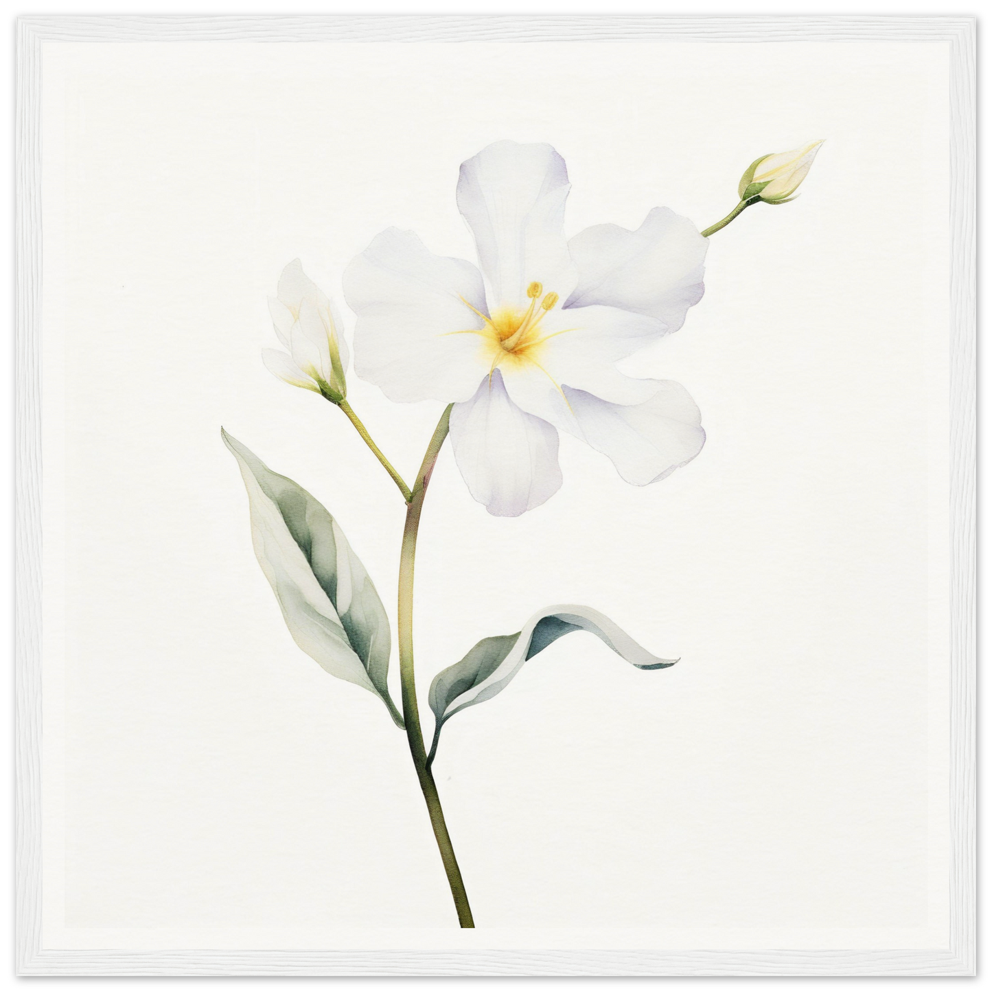 A white flower with green leaves on a white background