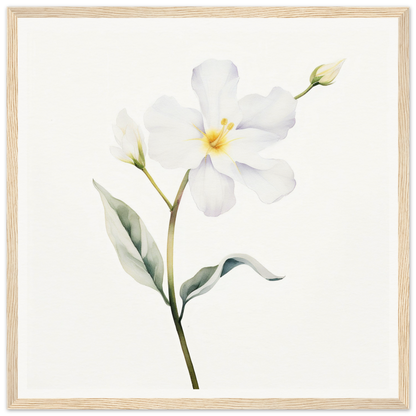 A white flower with green leaves on a white background