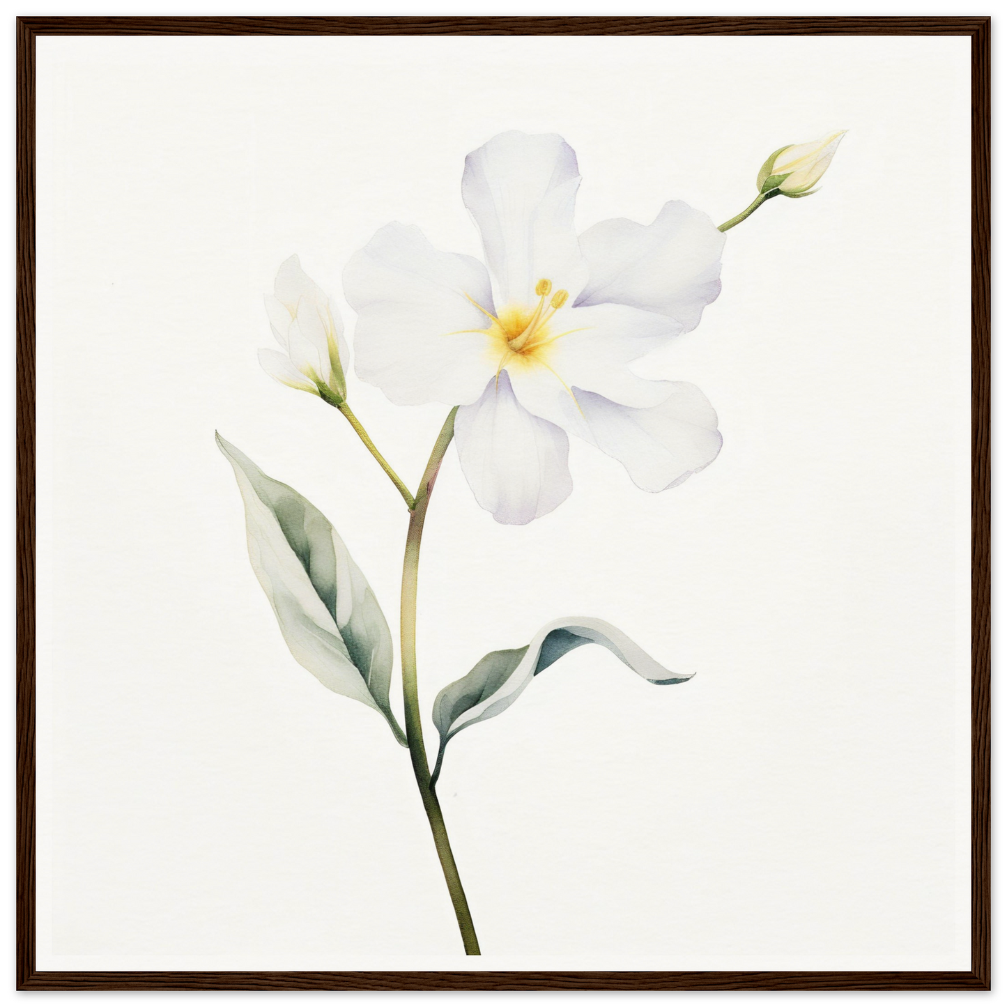 A white flower with green leaves on a white background