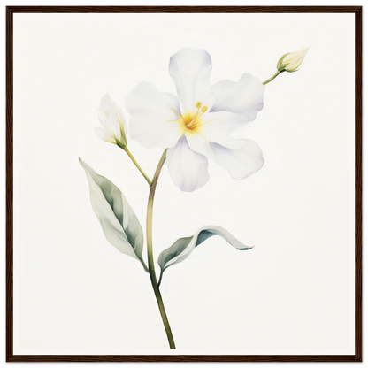 A white flower with green leaves on a white background