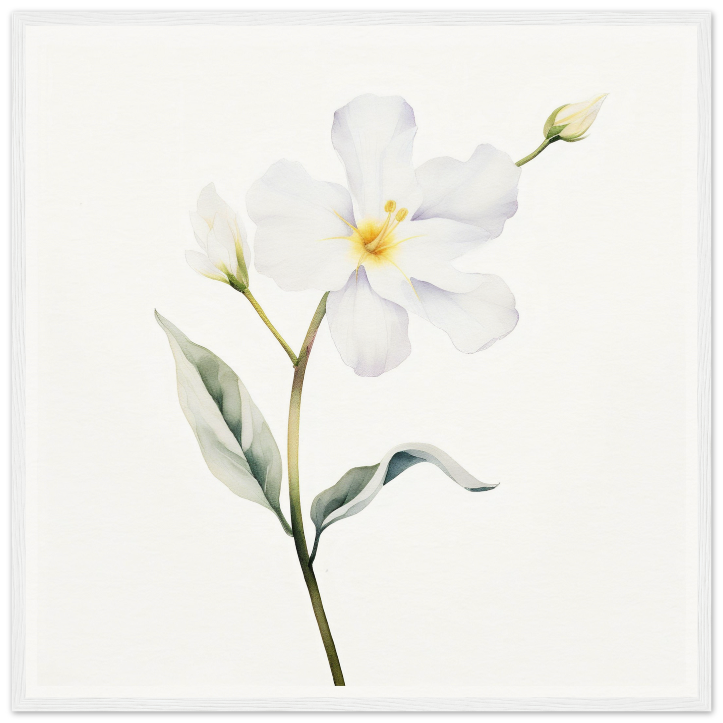 A white flower with green leaves on a white background