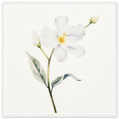 A white flower with green leaves on a white background