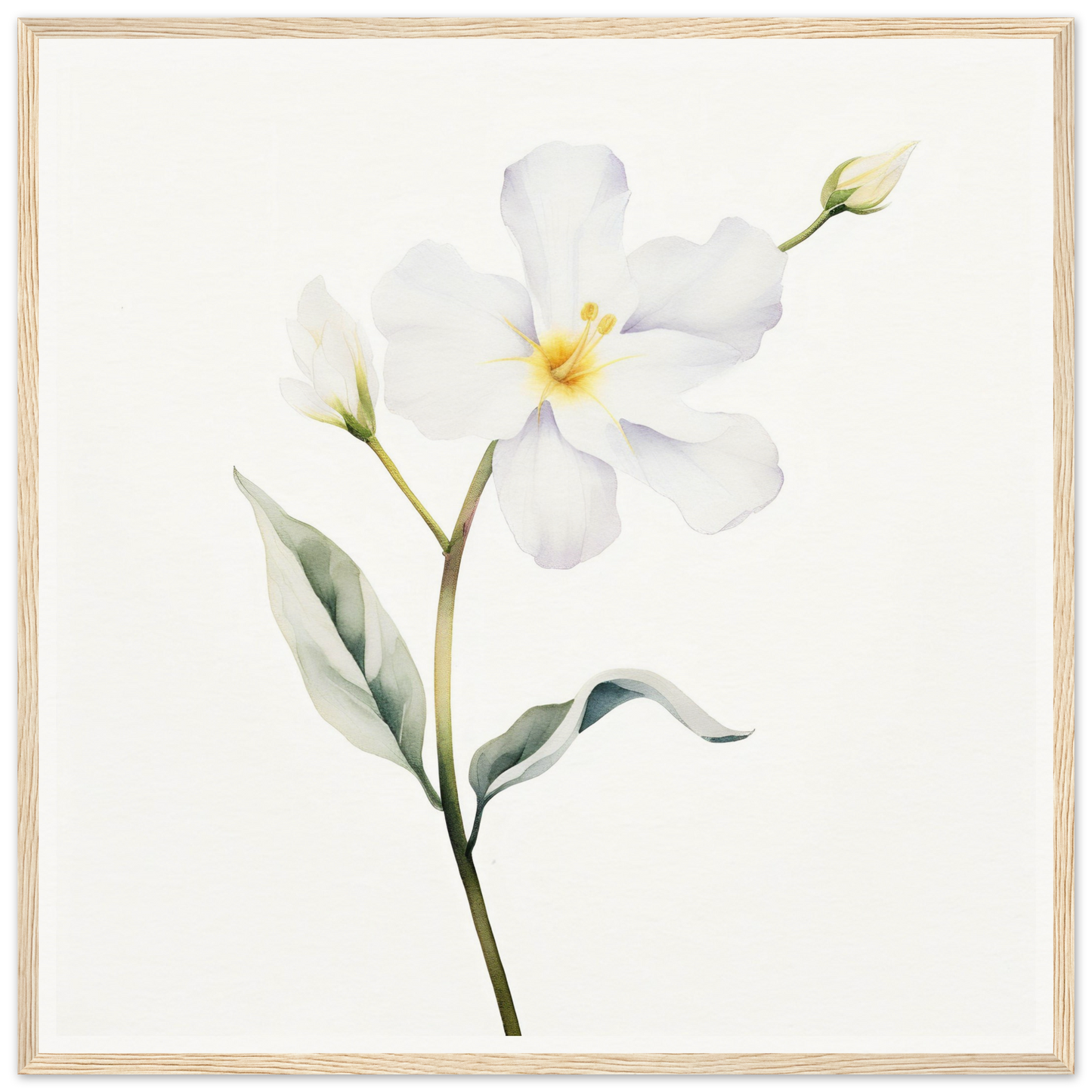 A white flower with green leaves on a white background