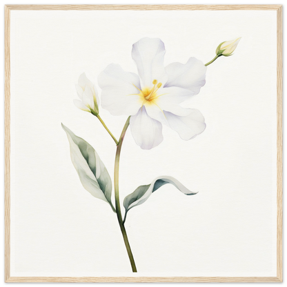 A white flower with green leaves on a white background