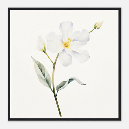 A white flower with green leaves on a white background