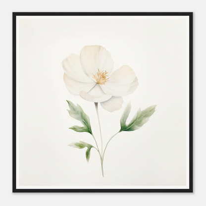 A white flower with green leaves on a white background