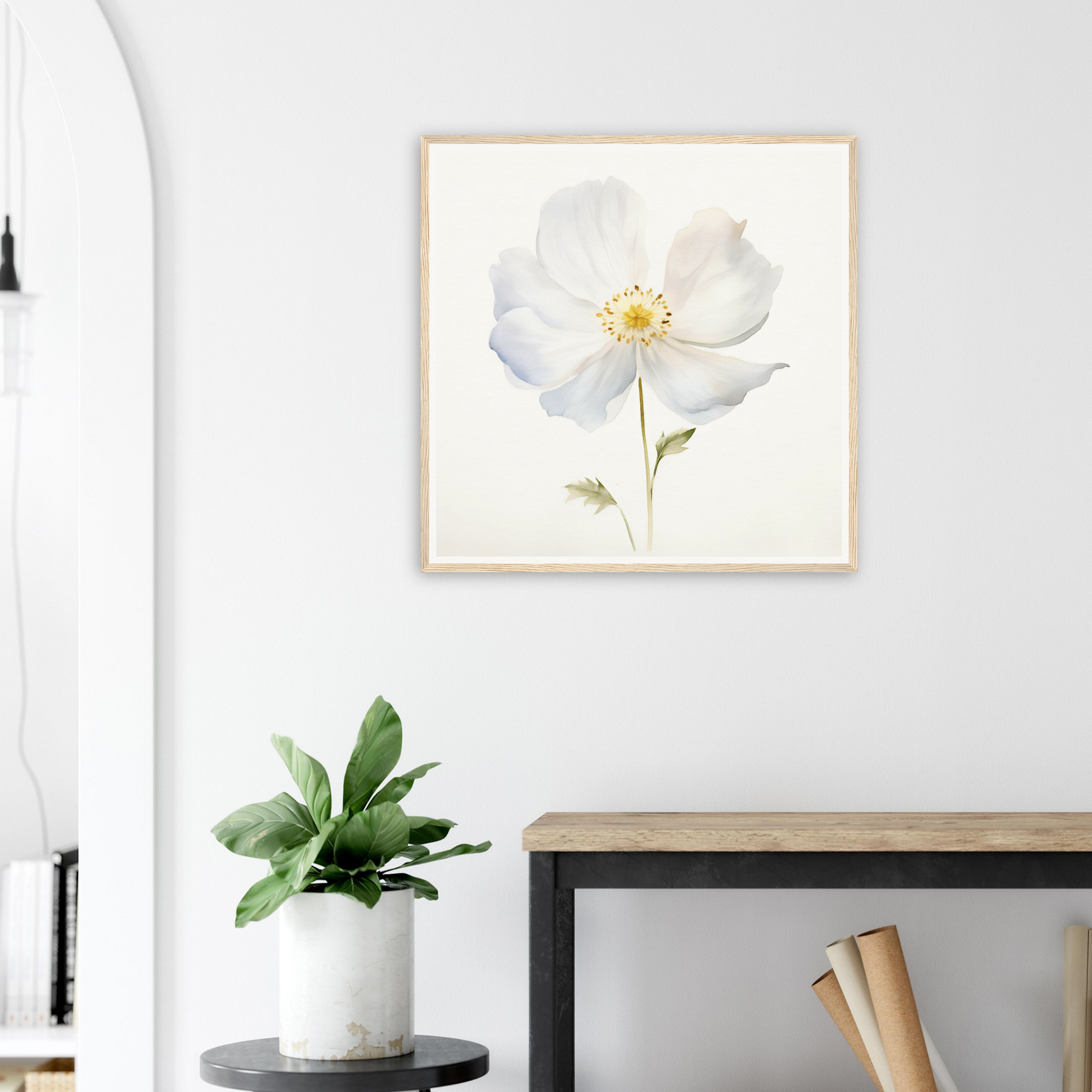 A white flower on a white wall