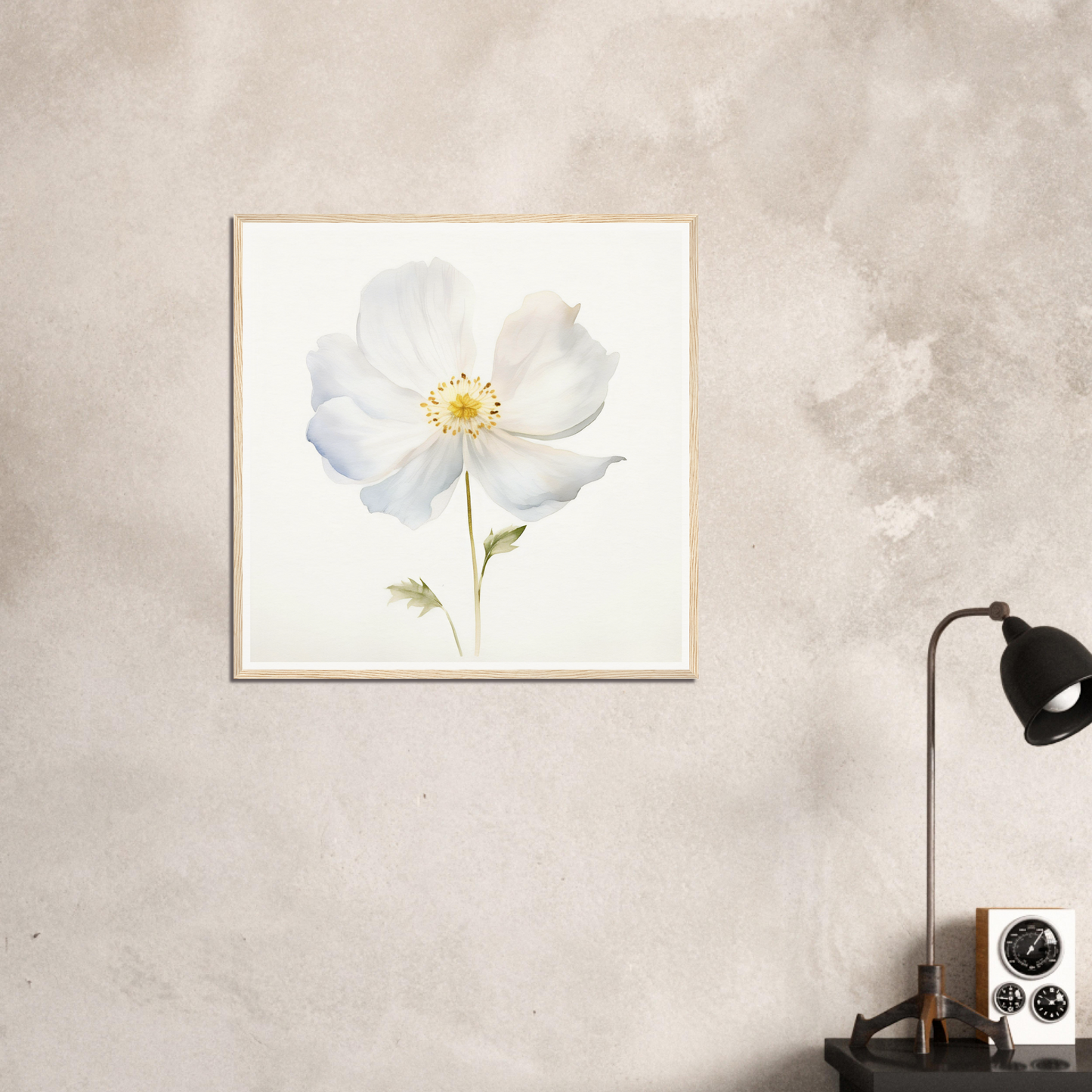 A white flower on a wall