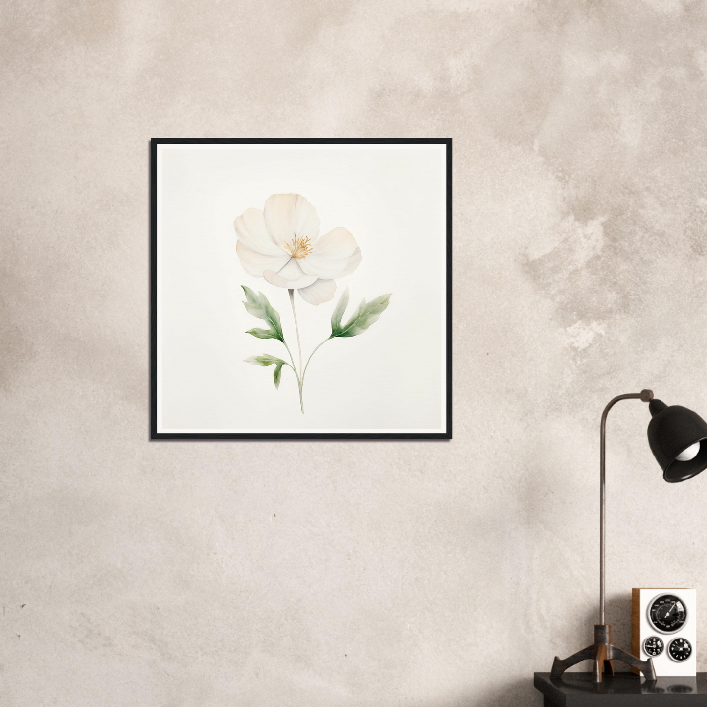 A white flower on a white wall